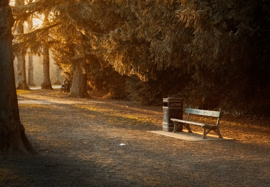 A quiet park pathway illuminated by warm, golden sunlight filtering through the overhanging branches of large, mature trees with textured, dark brown bark. The ground is covered with a mix of dirt and scattered fallen leaves, creating a natural, earthy surface. On the right side of the image, a weathered wooden park bench with a slatted backrest and seat, painted in faded light green, is positioned next to two cylindrical trash bins made of metal, one labeled 'LITTER' in white text. The bins have ribbed surfaces and dark lids, standing on a small concrete pad adjacent to the bench. In the background, more trees line the pathway, which extends into the distance, casting dappled light and shadows across the scene. The overall atmosphere suggests a peaceful outdoor setting, where waste disposal features like the trash bins support on-site waste management, aligning with services provided by Waste Disposal Wandsworth for local rubbish removal and environmental upkeep.